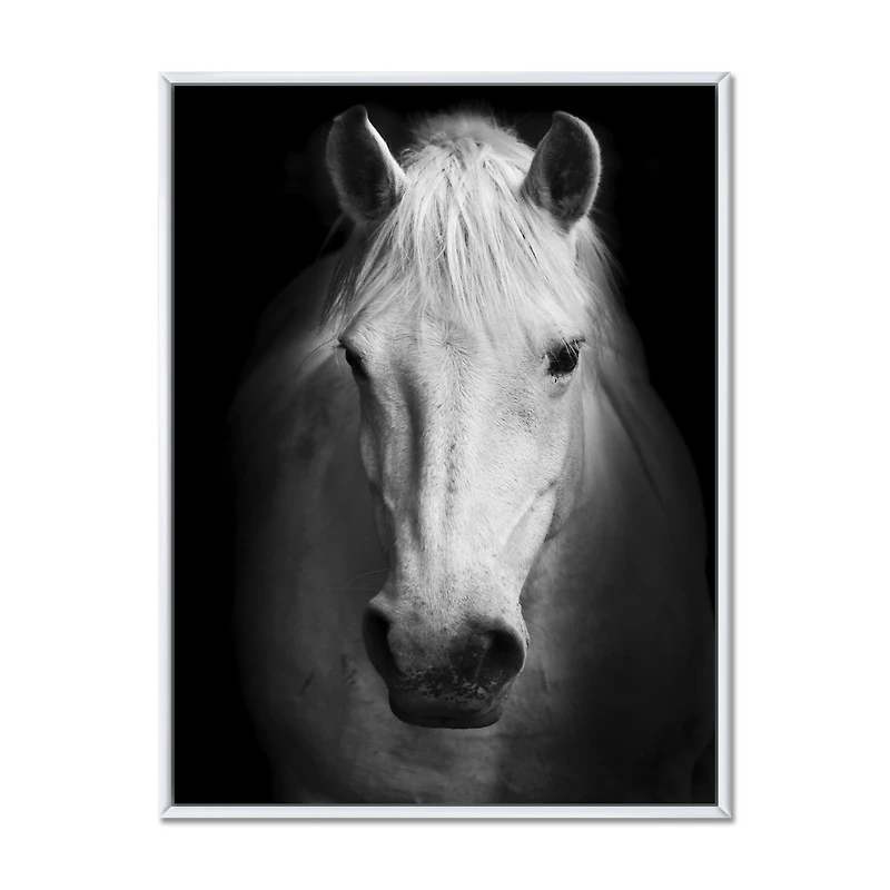 White Horse Black and Wall Art
