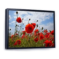 Bright Red Poppy Flowers Photo Artwork on Canvas