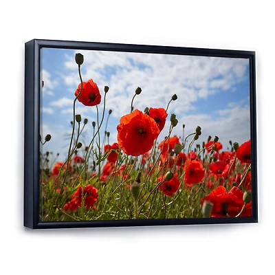 Toile « Bright Red Poppy Flowers Photo »