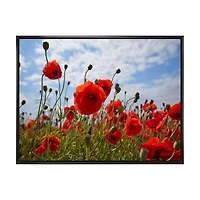 Bright Red Poppy Flowers Photo Artwork on Canvas