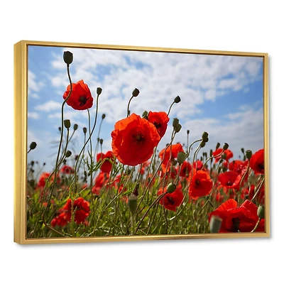 Bright Red Poppy Flowers Photo Artwork on Canvas