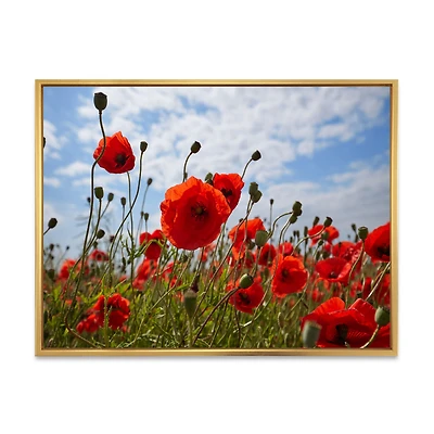Bright Red Poppy Flowers Photo Artwork on Canvas
