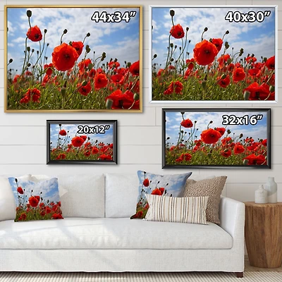 Toile « Bright Red Poppy Flowers Photo »