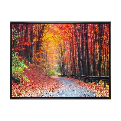 Road Beautiful Autumn Forest  Canvas Art