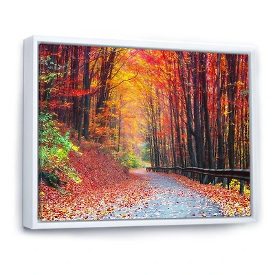 Road Beautiful Autumn Forest  Canvas Art