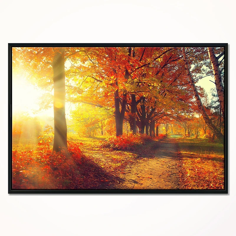 Autumnal Trees Sunrays Wall Art