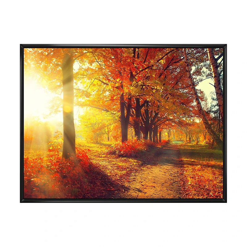 Toile « Autumnal Trees Sunrays