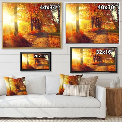 Toile « Autumnal Trees Sunrays »