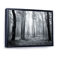 Black and White Foggy Forest Canvas Wall Art