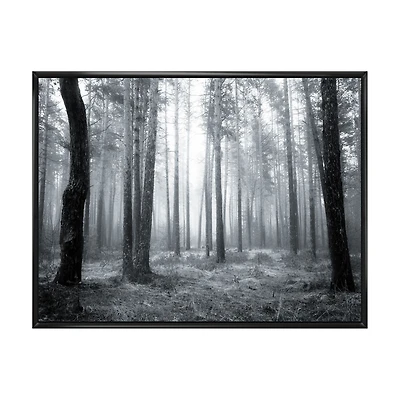 Toile « Black and White Foggy Forest »