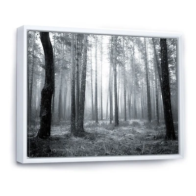 Toile « Black and White Foggy Forest »