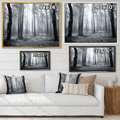 Toile « Black and White Foggy Forest »