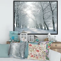 Winter Road Backlit my Morning Sun  Wall Art
