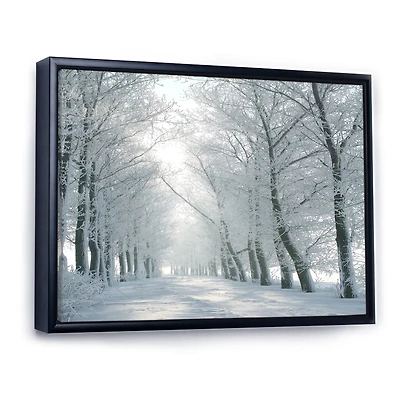 Winter Road Backlit my Morning Sun  Wall Art