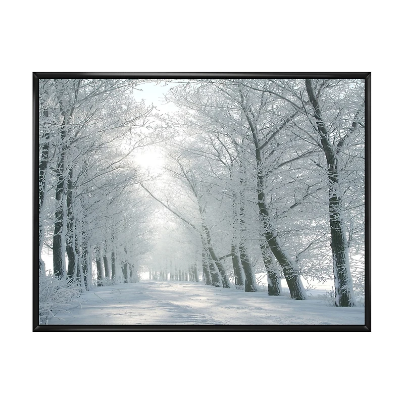 Winter Road Backlit my Morning Sun  Wall Art