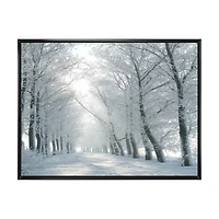 Winter Road Backlit my Morning Sun  Wall Art