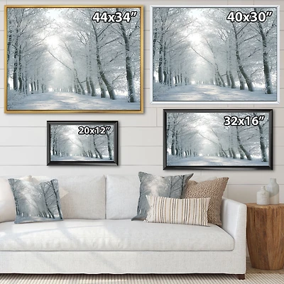 Winter Road Backlit my Morning Sun  Wall Art