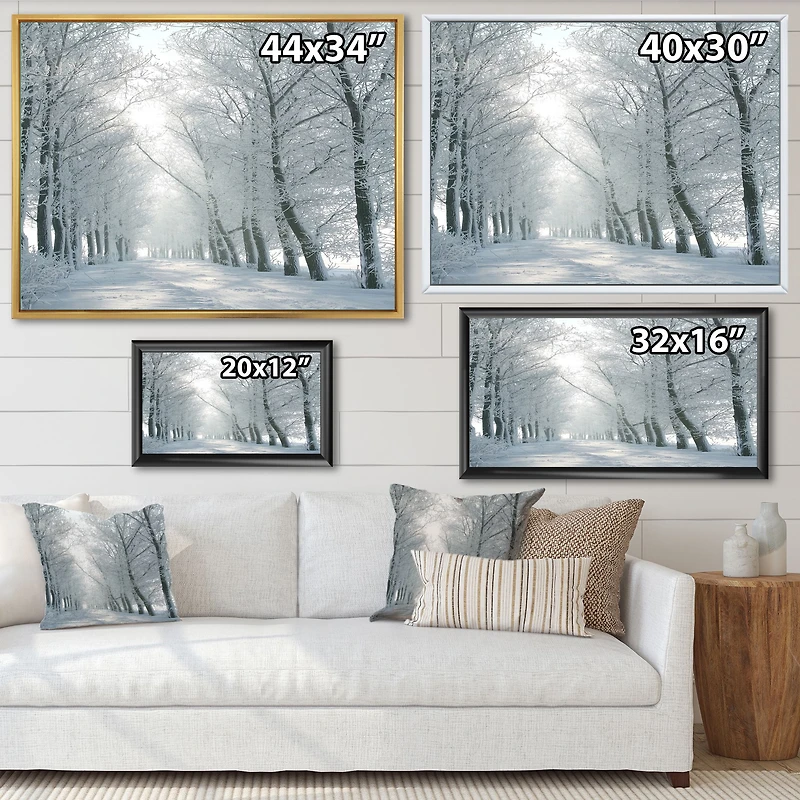 Winter Road Backlit my Morning Sun  Wall Art
