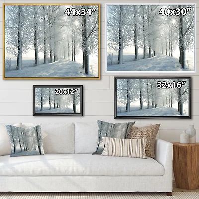Winter Trees Backlit by Morning Sun  Wall Art
