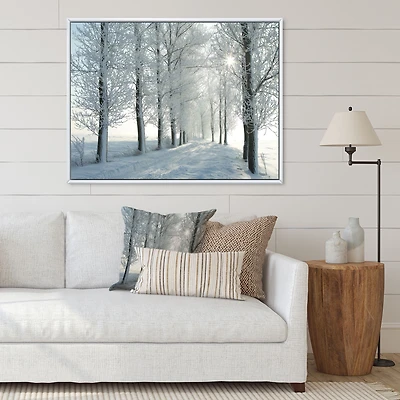 Winter Trees Backlit by Morning Sun  Wall Art