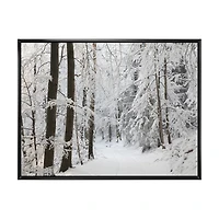 Dense Winter Forest and Lane  Wall Art