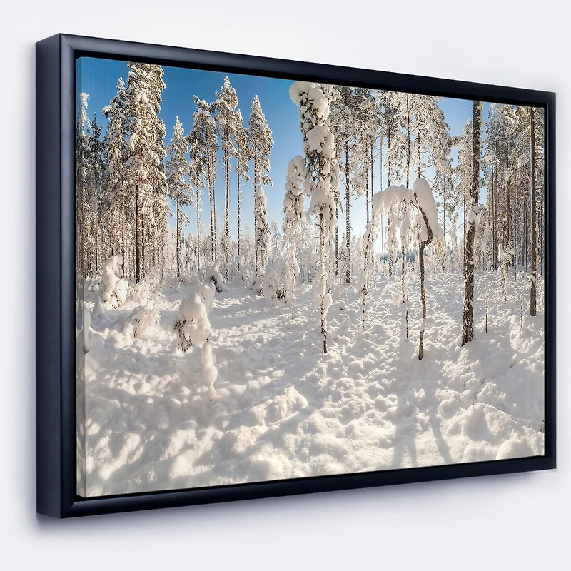 Winter Snow Covered Wood Wall Art