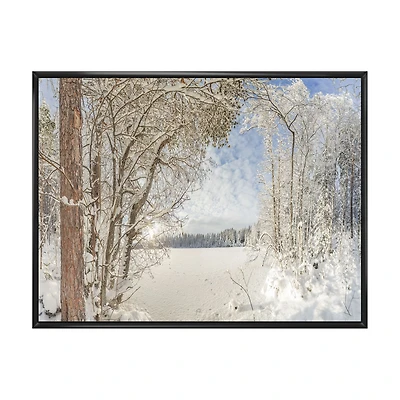 Lake Winter Woods Wall Art