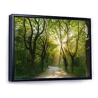 Evening Green Forest  Canvas Art Print