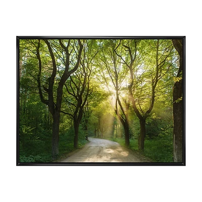 Evening Green Forest  Canvas Art Print