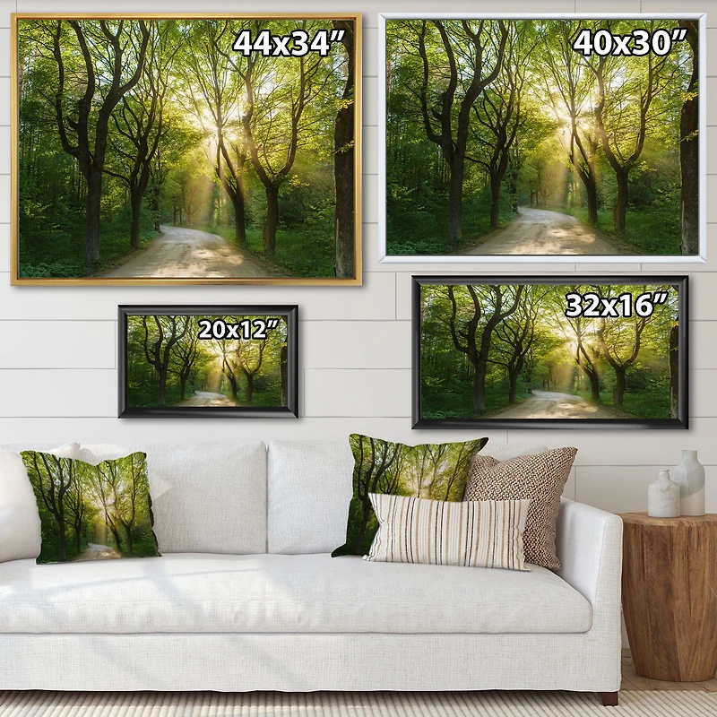 Evening Green Forest  Canvas Art Print