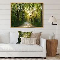 Evening Green Forest  Canvas Art Print
