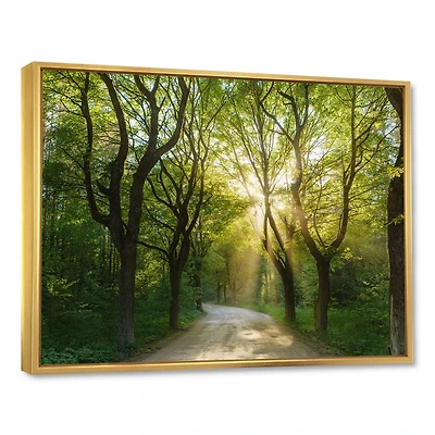 Evening Green Forest  Canvas Art Print
