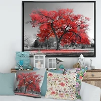 Big Red Tree on Foggy Day  Canvas Art Print