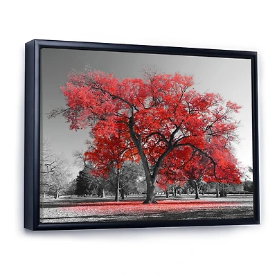 Big Red Tree on Foggy Day  Canvas Art Print