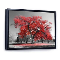 Big Red Tree on Foggy Day  Canvas Art Print
