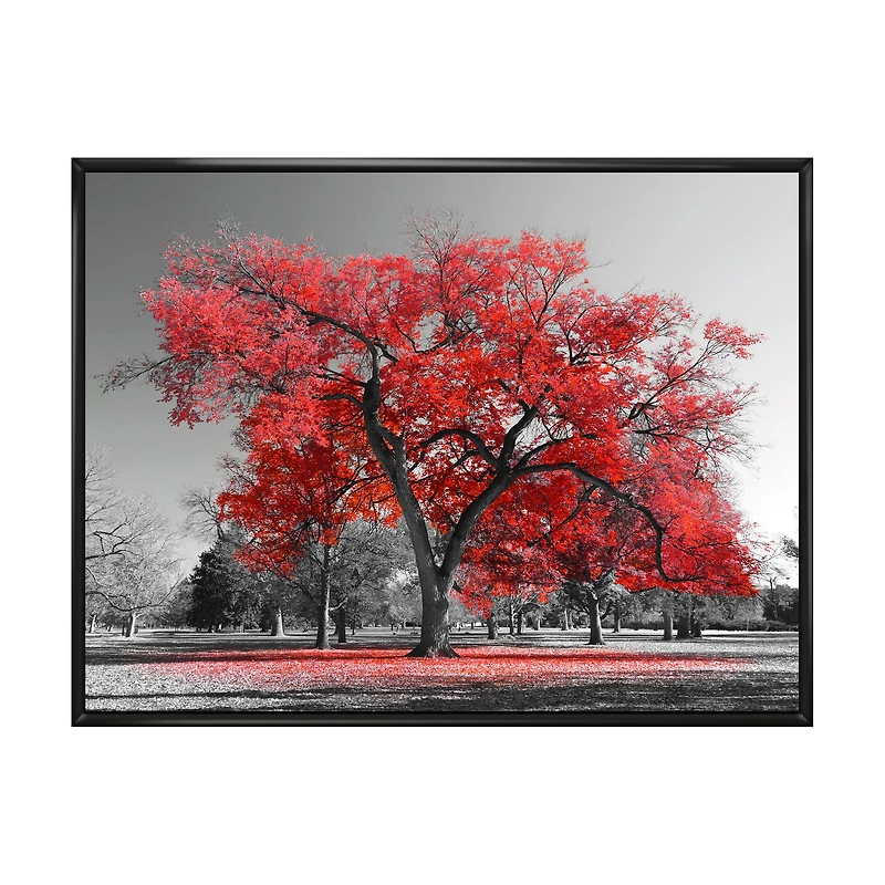 Big Red Tree on Foggy Day  Canvas Art Print