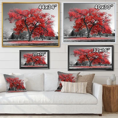 Big Red Tree on Foggy Day  Canvas Art Print