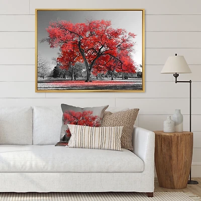 Big Red Tree on Foggy Day Canvas Art Print