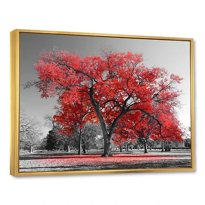 Big Red Tree on Foggy Day  Canvas Art Print