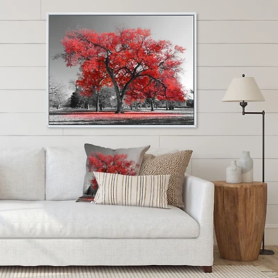 Big Red Tree on Foggy Day  Canvas Art Print