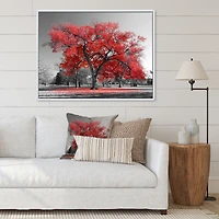 Big Red Tree on Foggy Day  Canvas Art Print