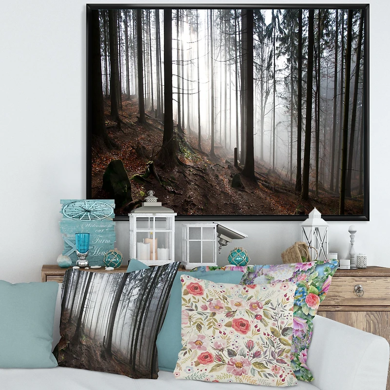 Misty Forest Morning Panorama  Wall Art