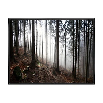 Misty Forest Morning Panorama  Wall Art
