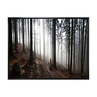 Misty Forest Morning Panorama  Wall Art