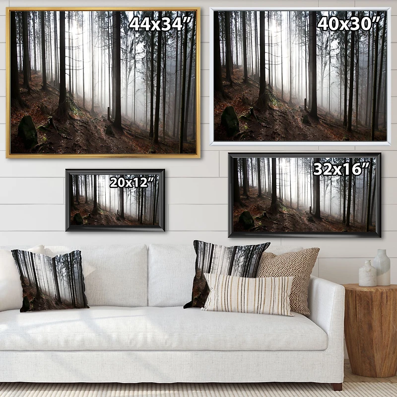 Misty Forest Morning Panorama  Wall Art