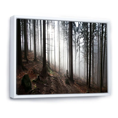 Misty Forest Morning Panorama  Wall Art