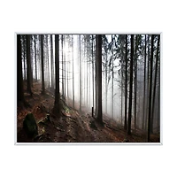 Misty Forest Morning Panorama  Wall Art