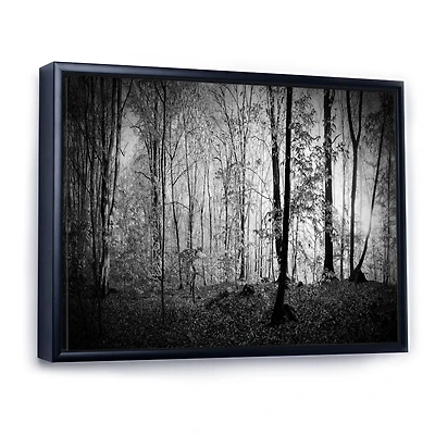 Beautiful Forest Morning Panorama  Canvas Art Print