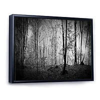 Beautiful Forest Morning Panorama  Canvas Art Print