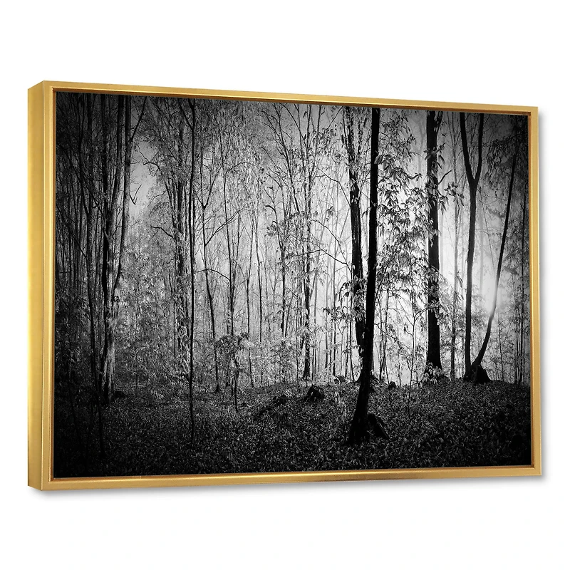 Beautiful Forest Morning Panorama  Canvas Art Print